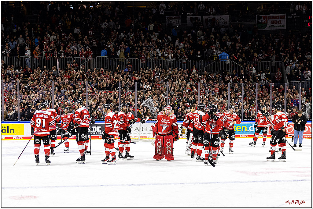 PENNY DEL; Koelner Haie-Adler Mannheim; Koeln, 17.03.2023